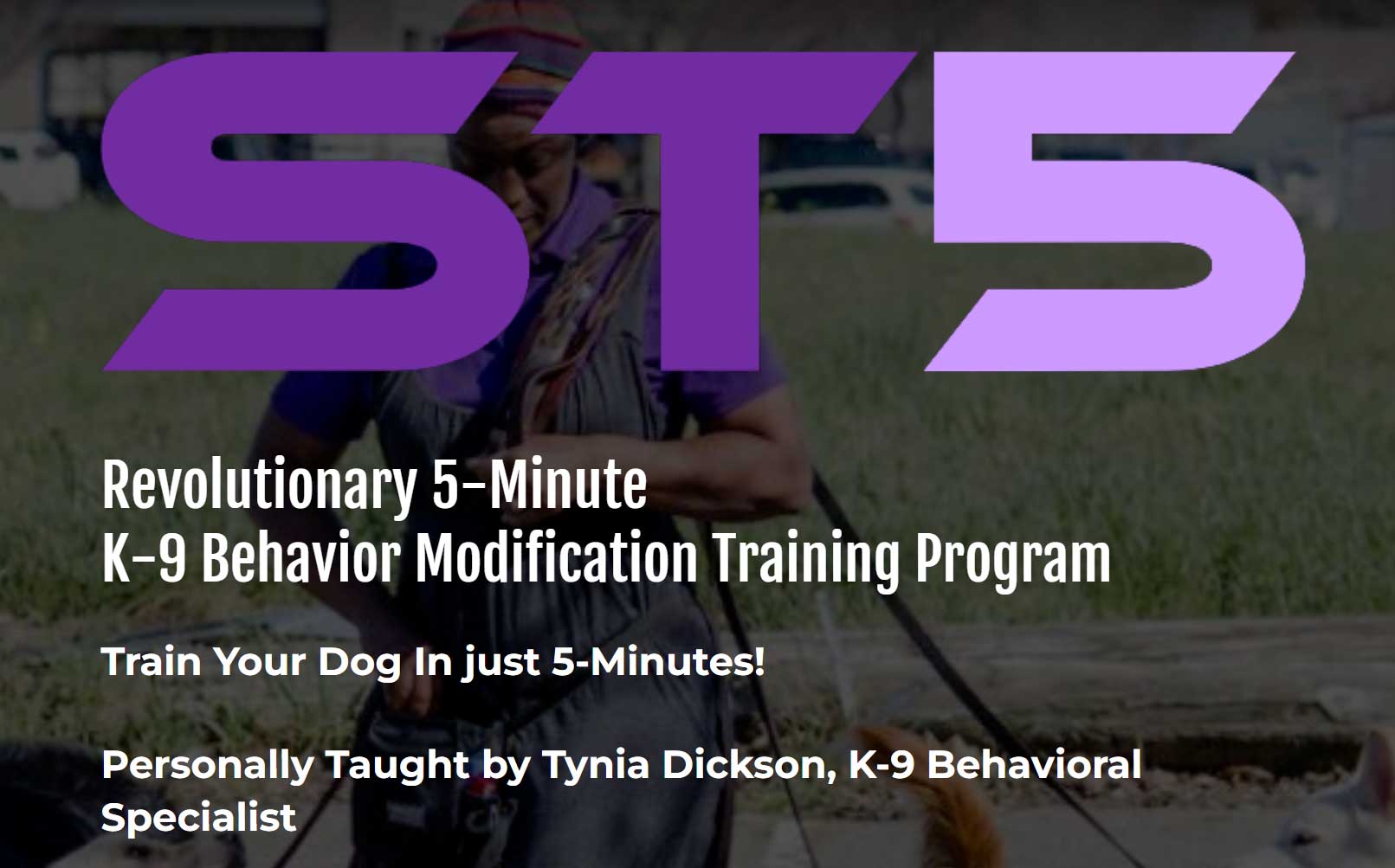 THE ST5 DOG TRAINING SYSTEM <br>Online Basic Obedience Course